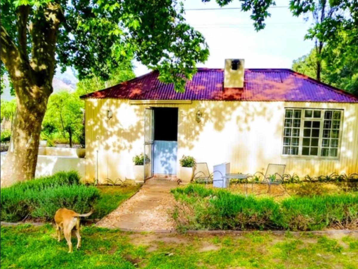 Cabernet Cottage Be Still And Know Franschhoek Kültér fotó