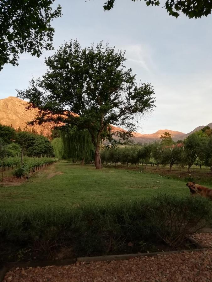 Cabernet Cottage Be Still And Know Franschhoek Kültér fotó